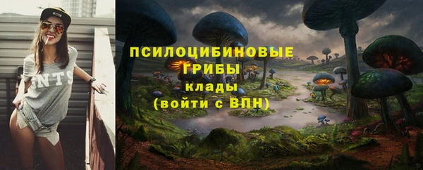 а пвп мука Алзамай