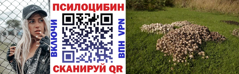 Галлюциногенные грибы ЛСД  Купить закладки  Смоленск 